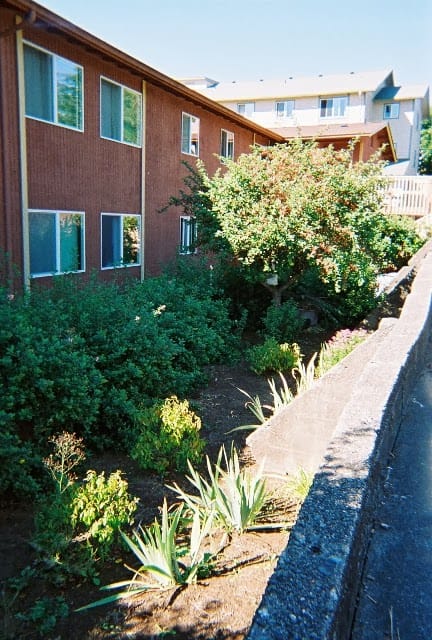 Montesano Harbor Apts.