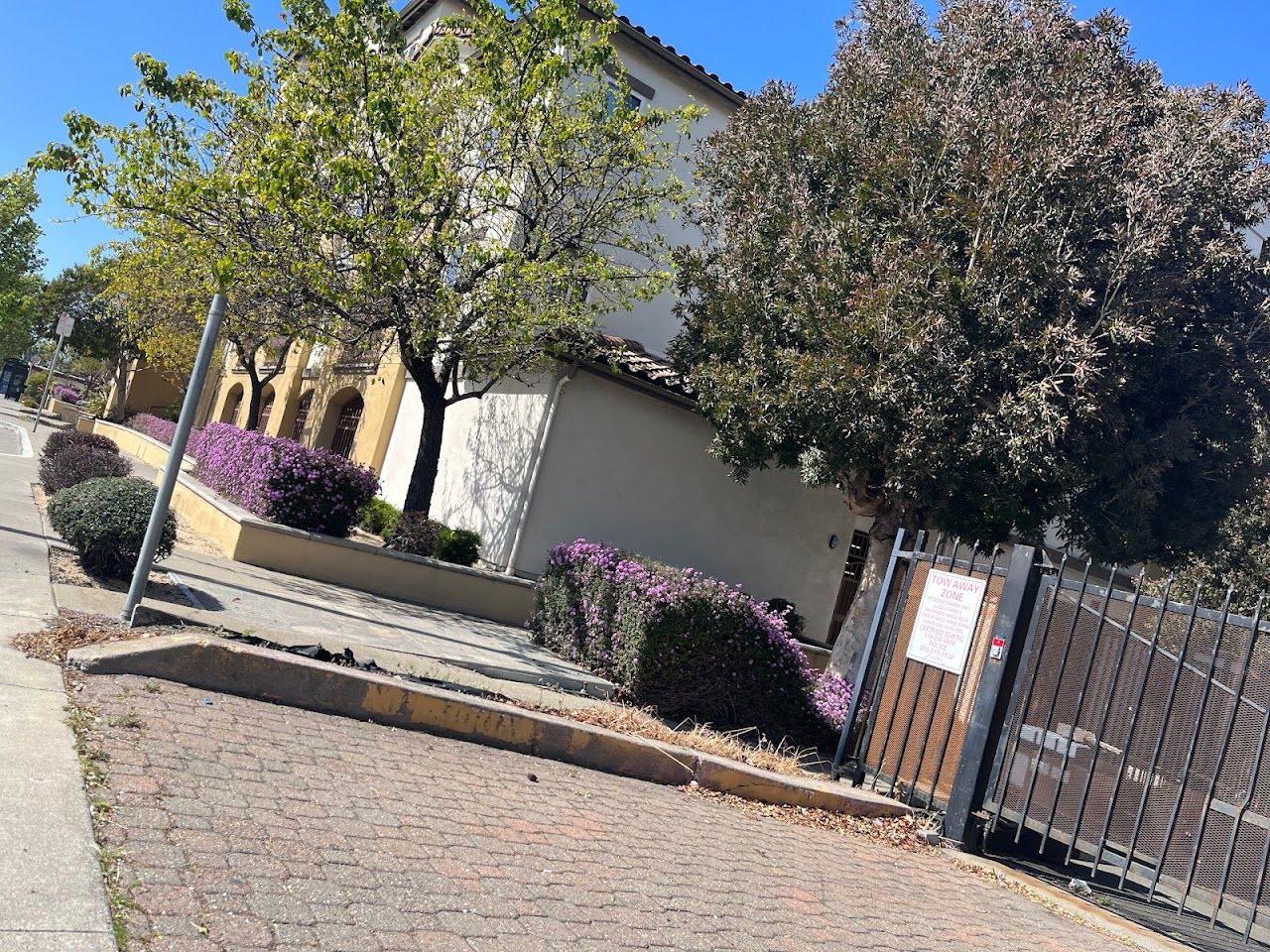 Montevista Senior Apts