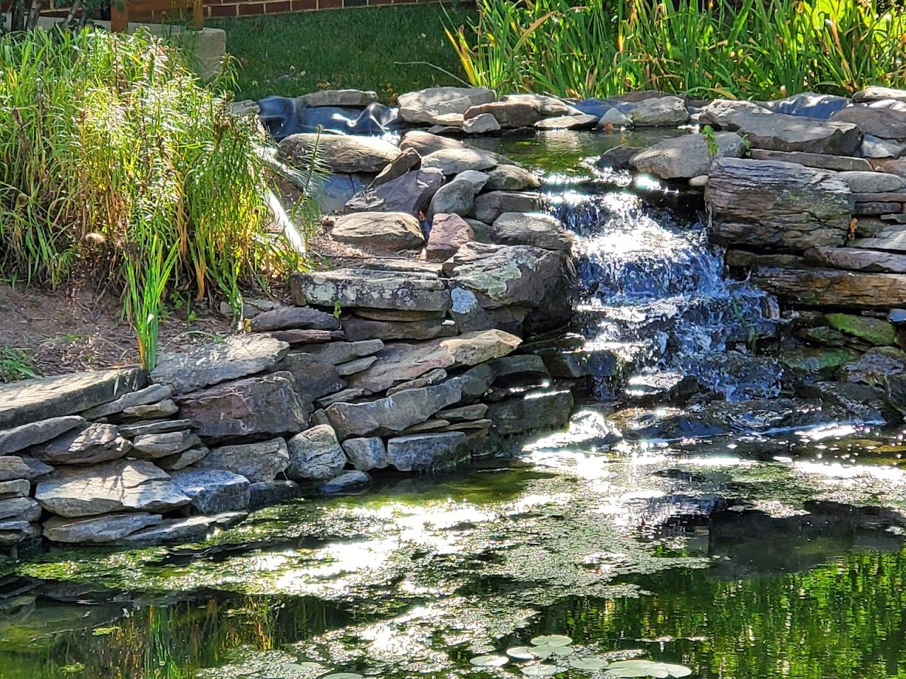 Morris Glen