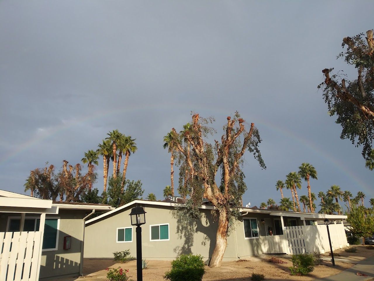 Mountain View Apartments