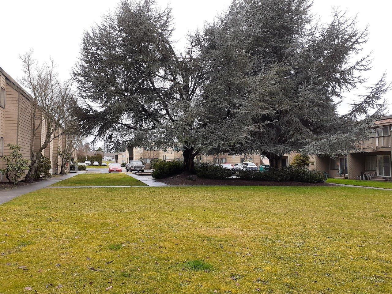 Mountain View Court Apartments
