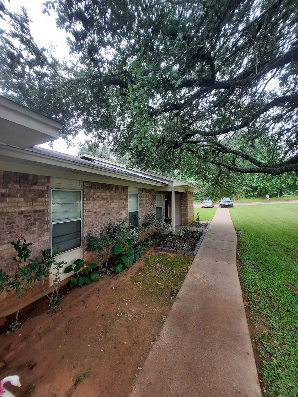 Murchison Street Apt