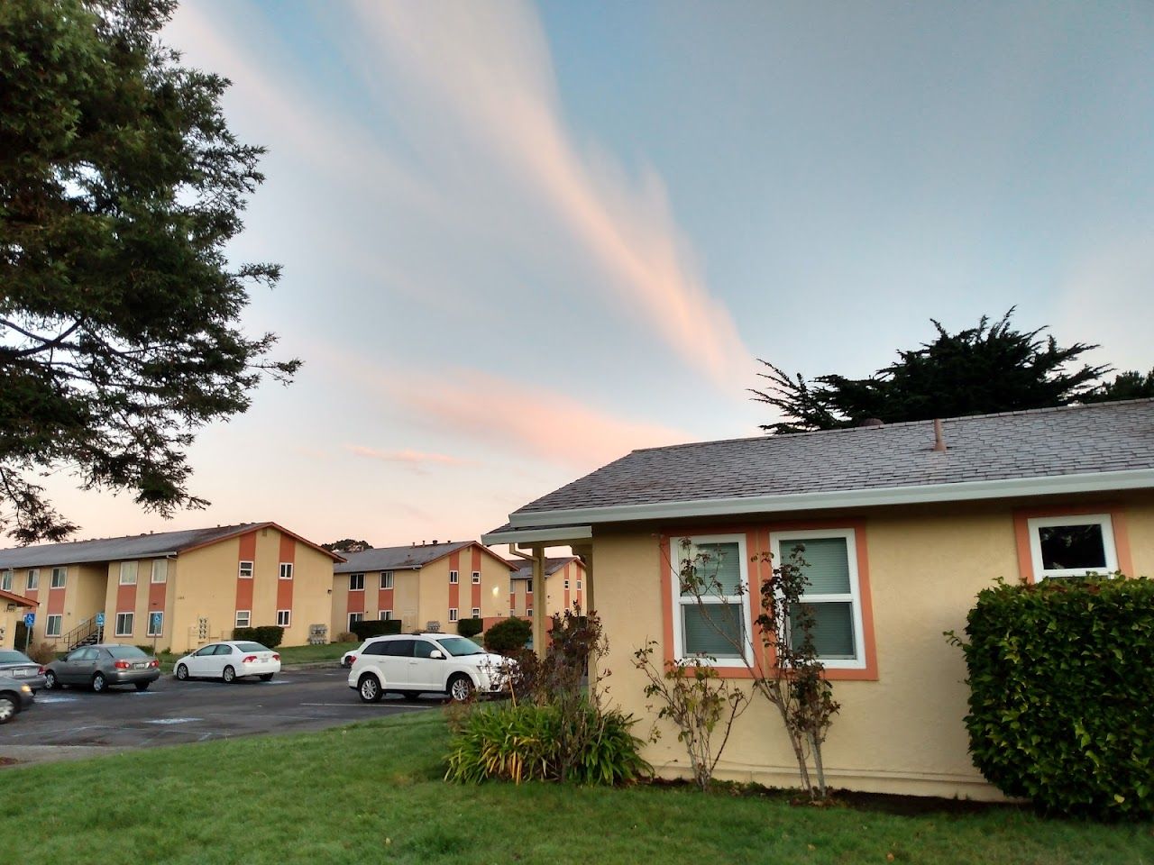 Murray Apts
