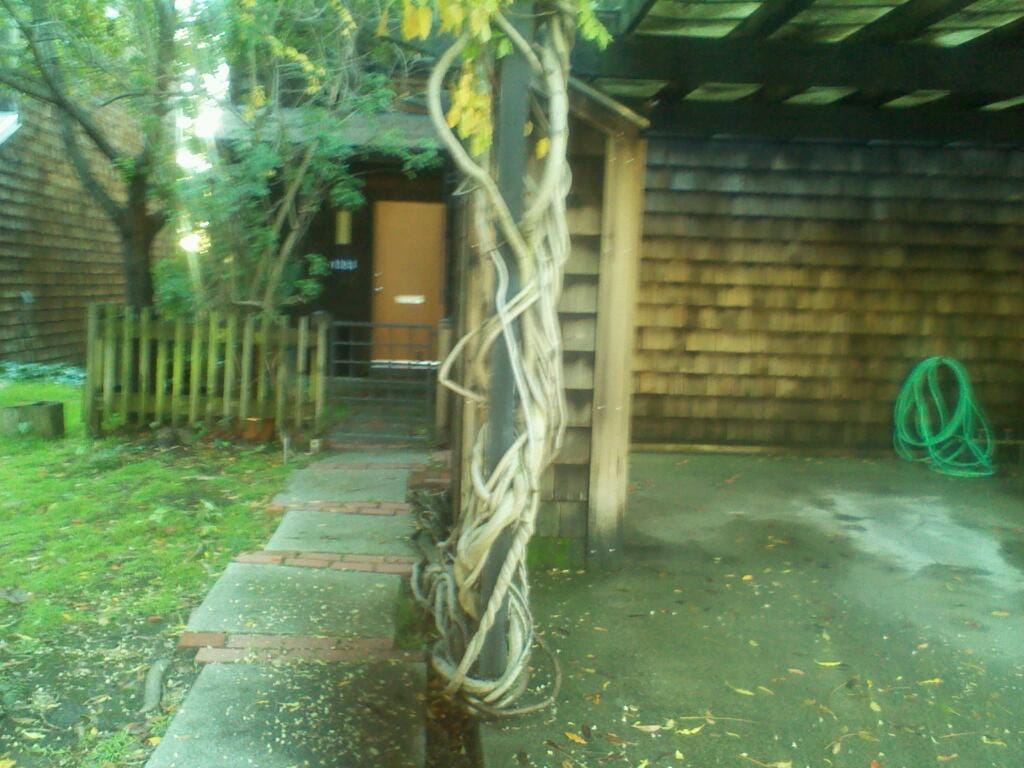 Northgate Terrace