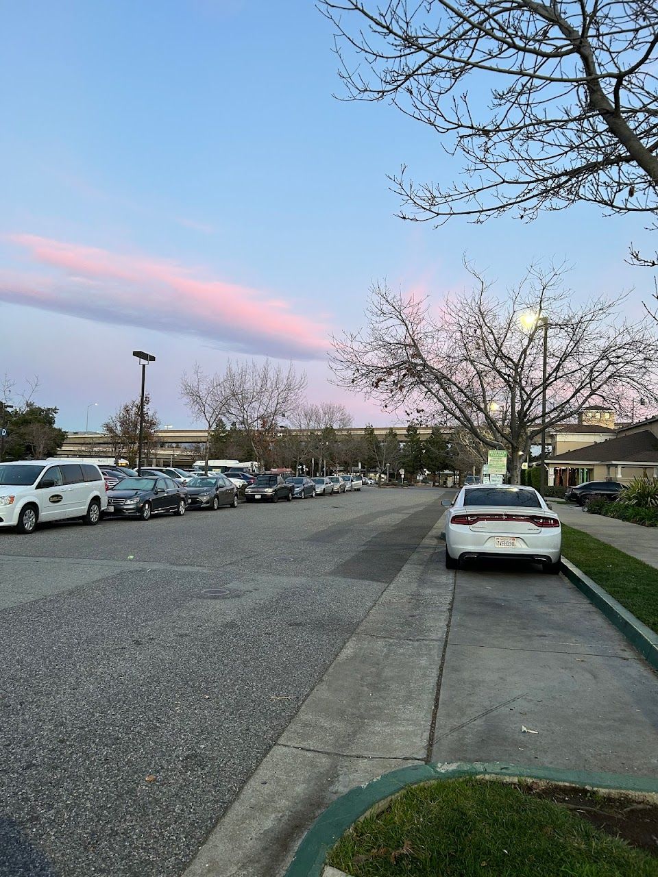 Ohlone Chynoweth Commons