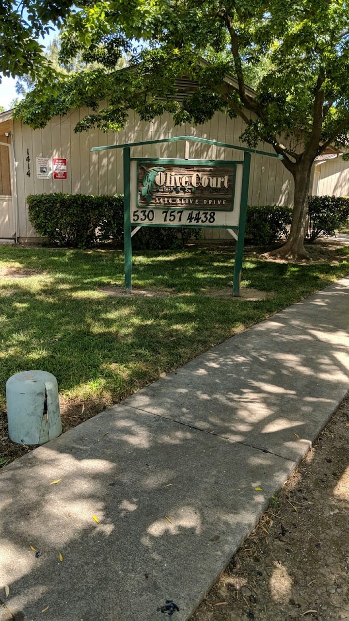 Olive Court