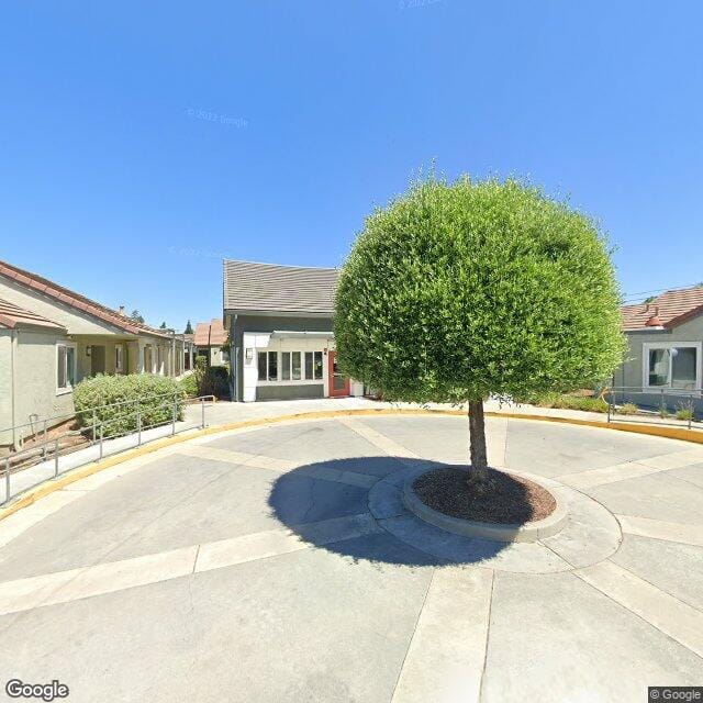 Olive Tree Plaza
