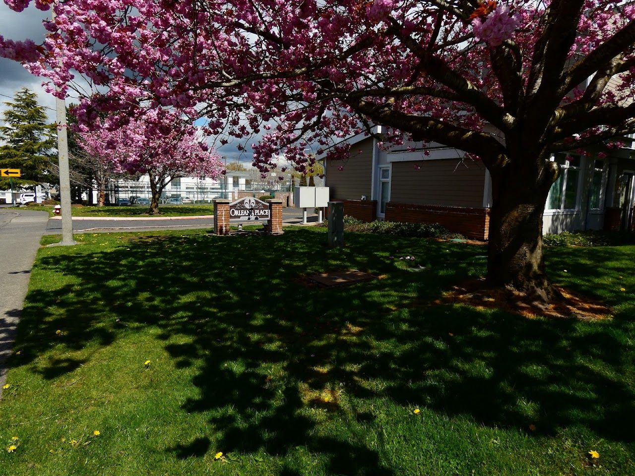 Orleans Place