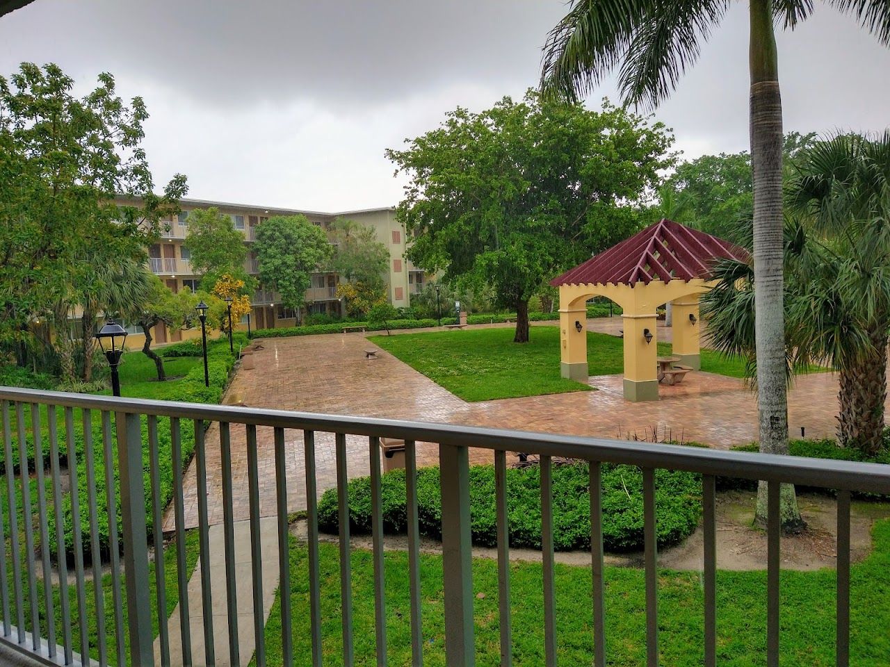 Palm Lake
