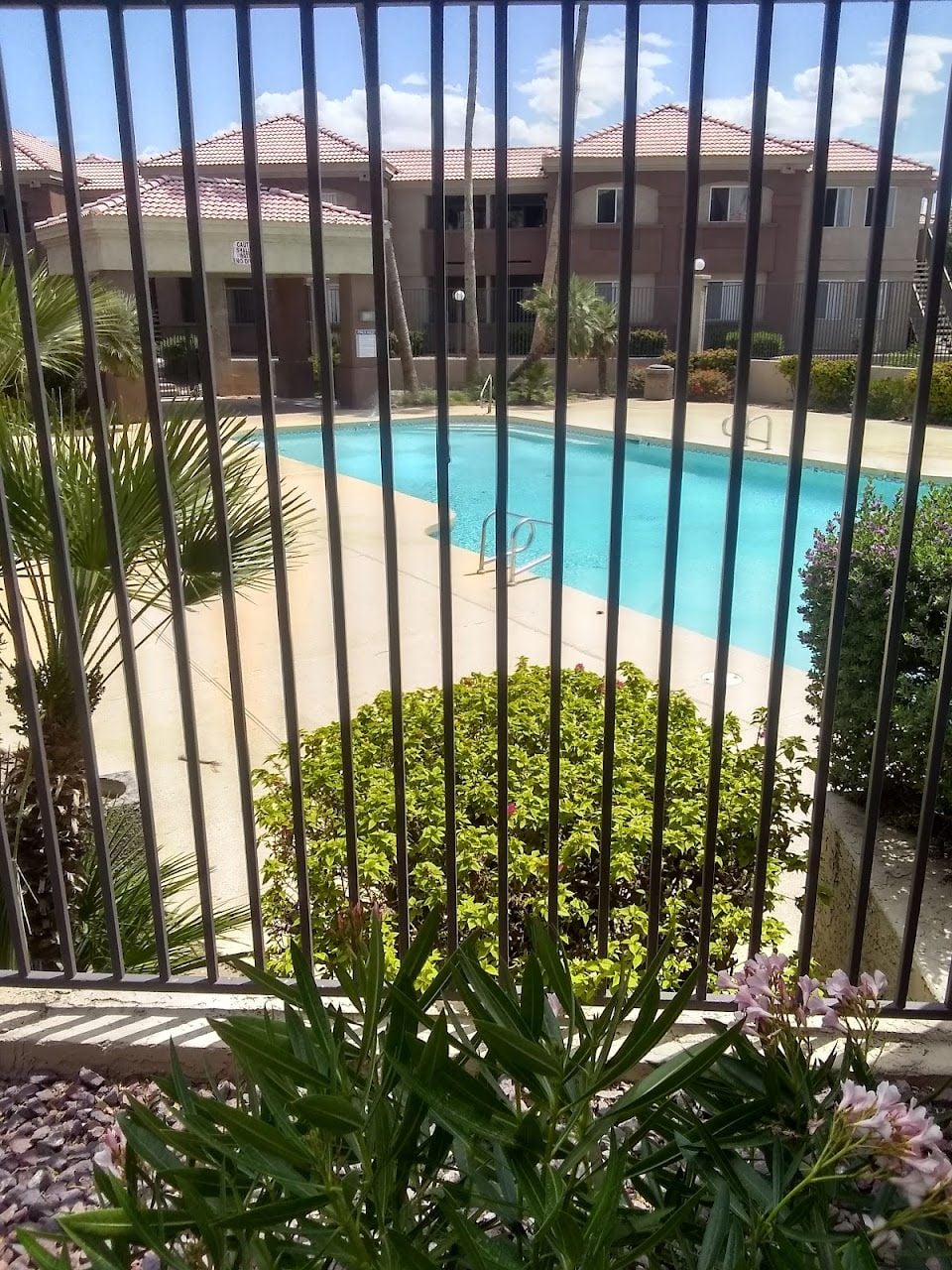 Palm Terrace Apts