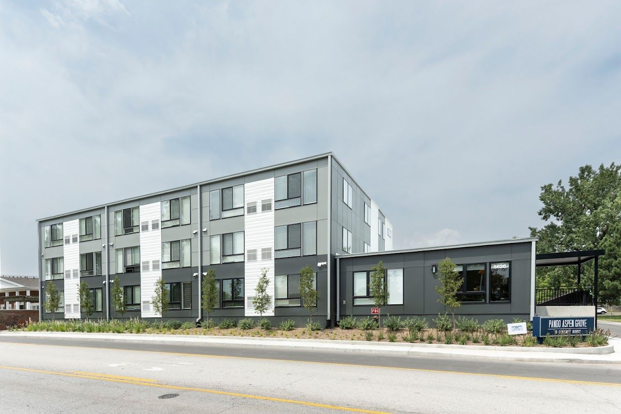 Pando Aspen Grove Of Community Heights