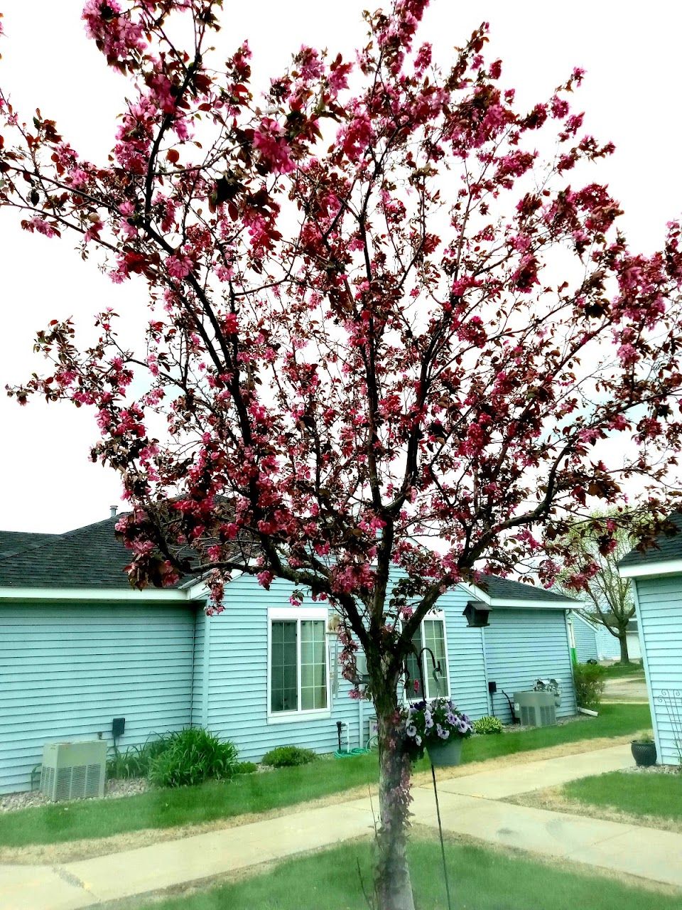 Park Villas