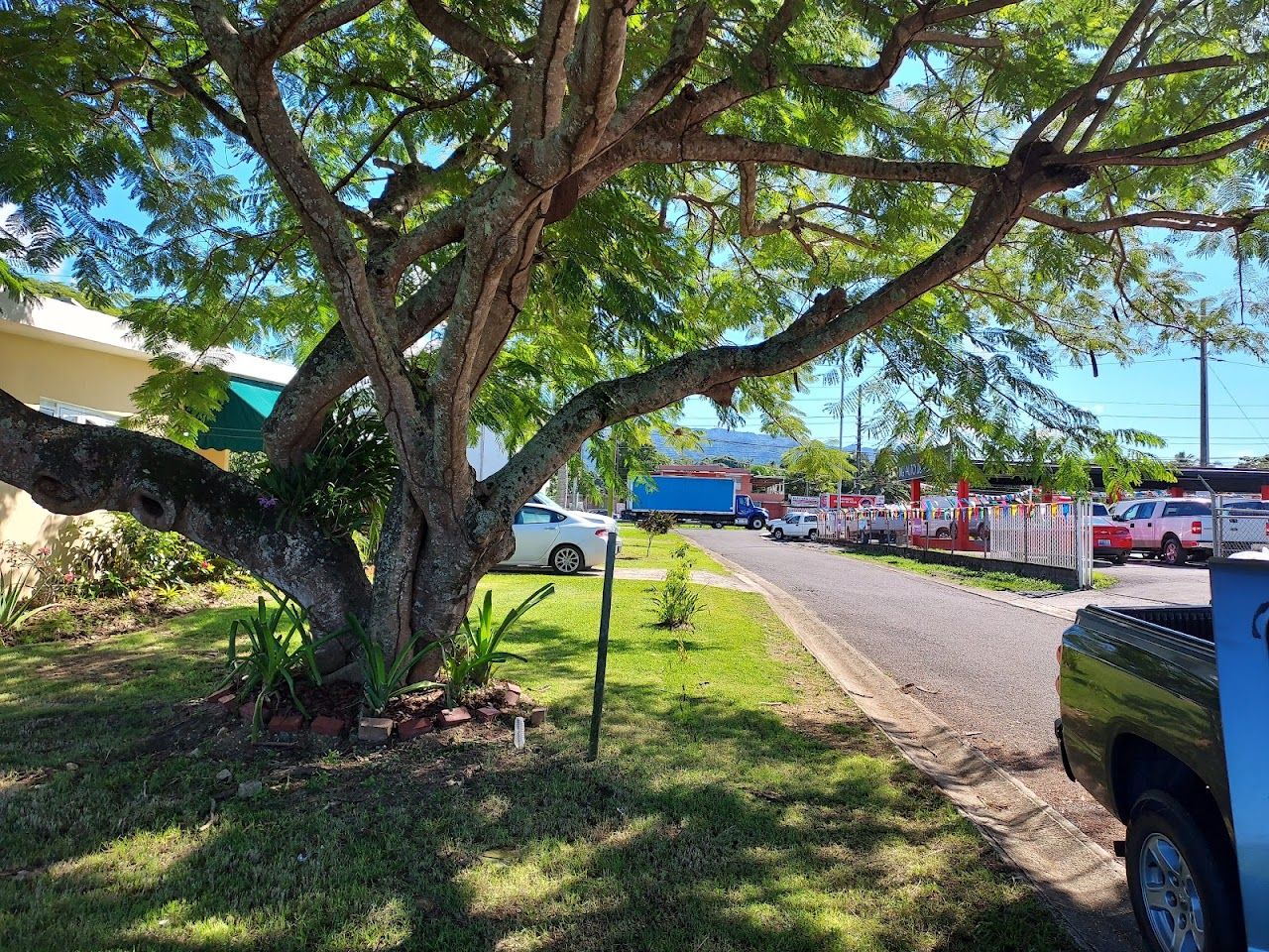 Patillas Elderly Apts