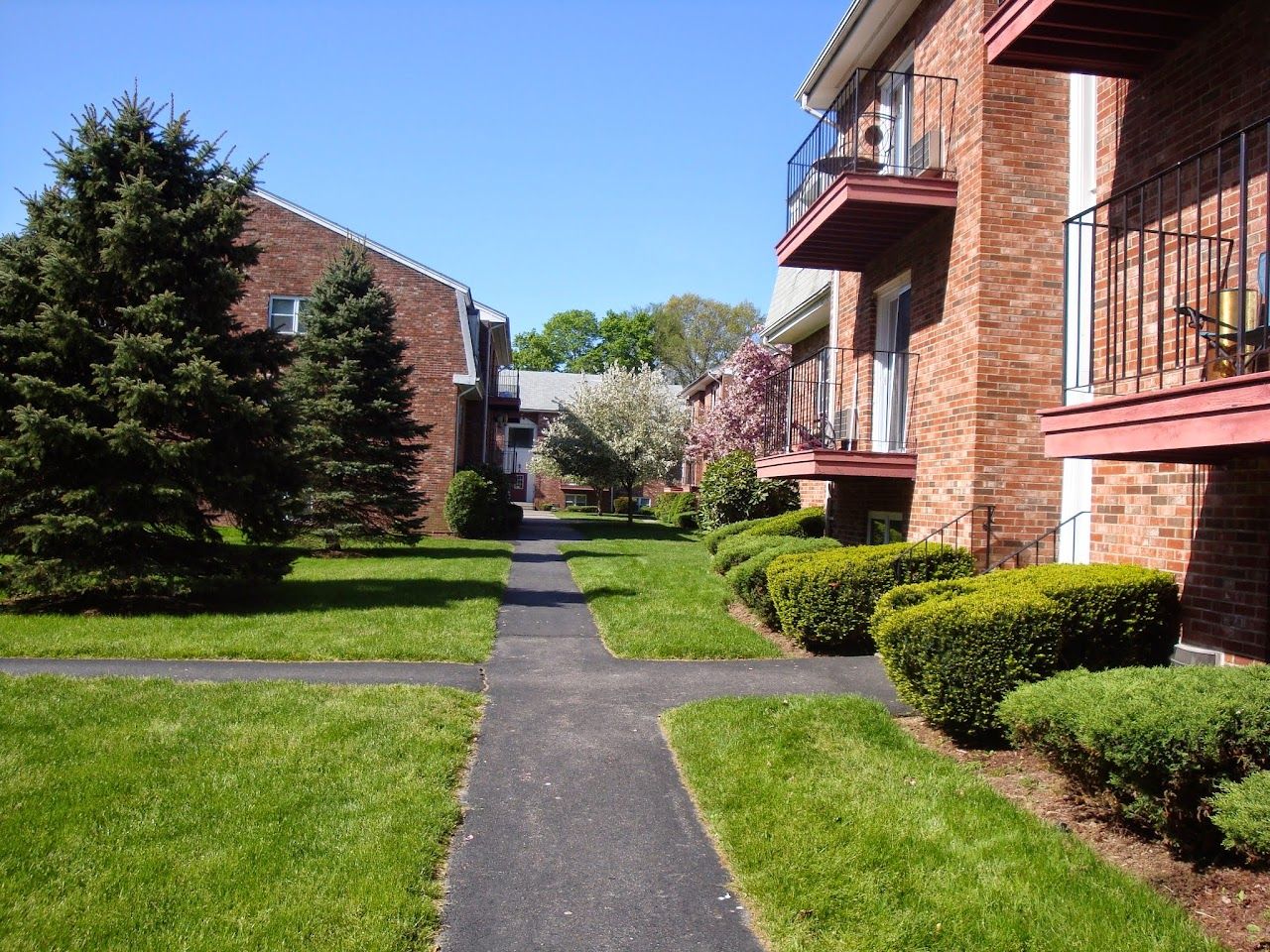 Pine Grove
