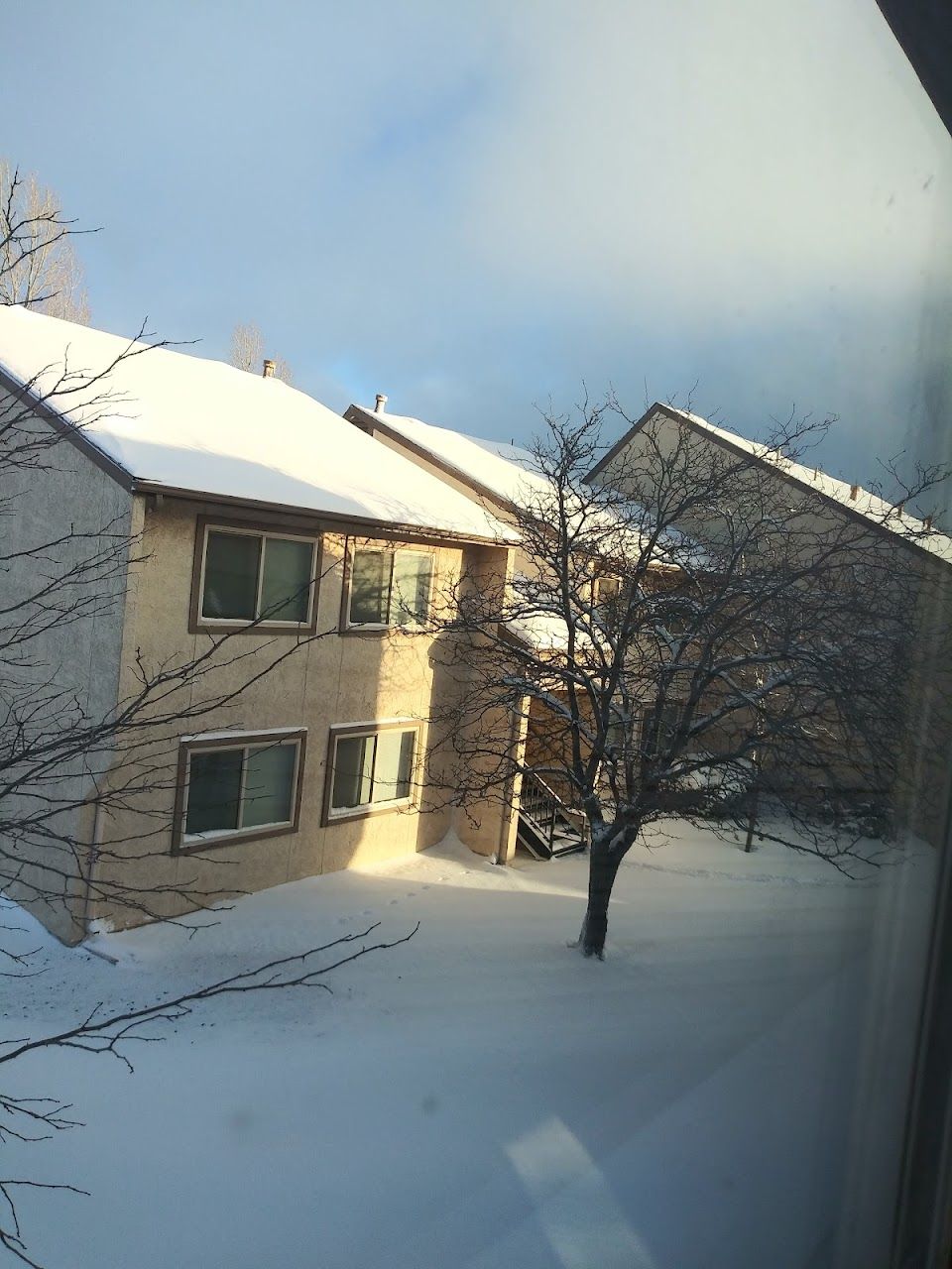 Pinecrest Apts   Williams