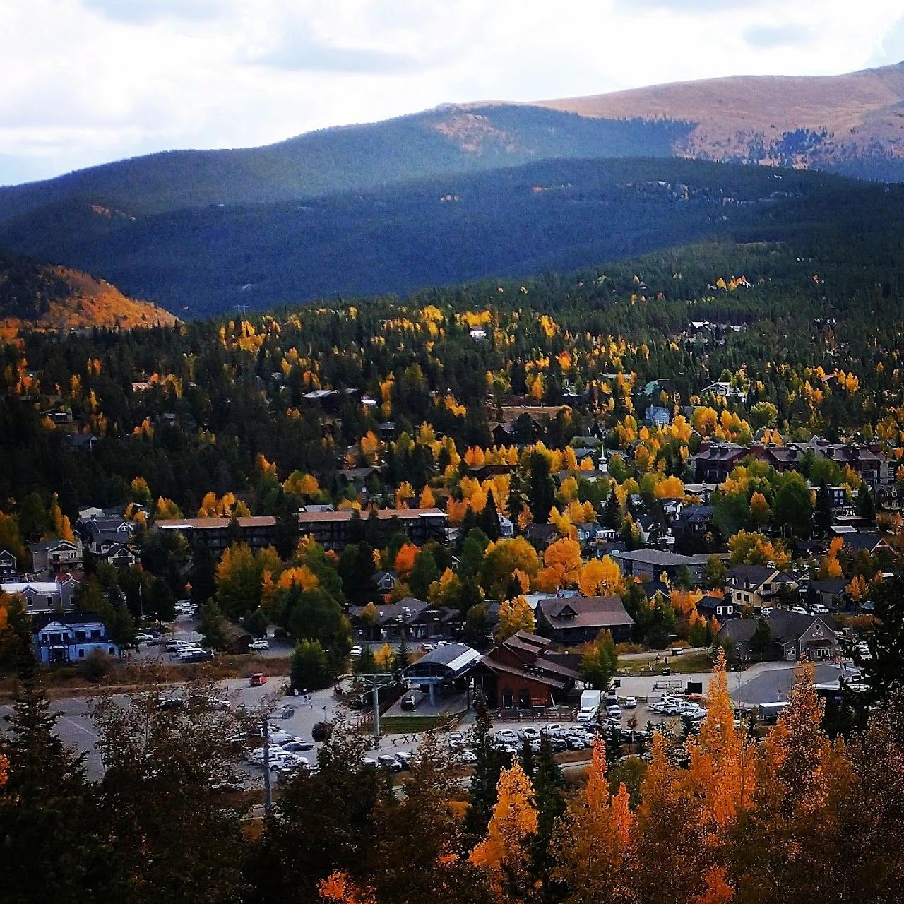 Pinewood Village 2