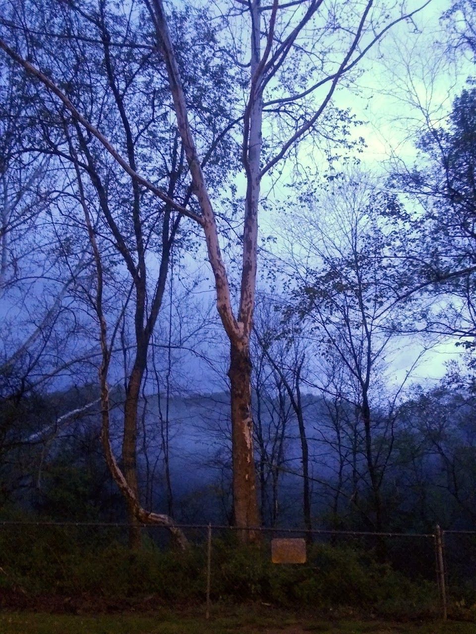 Piney Gardens