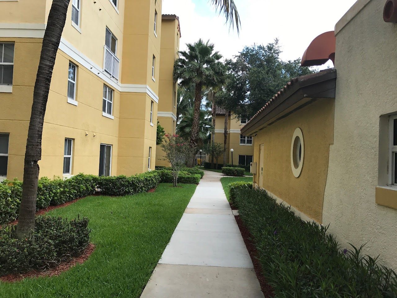 Pinnacle Palms