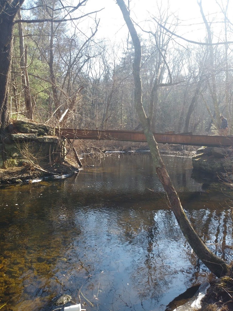 Primrose Village