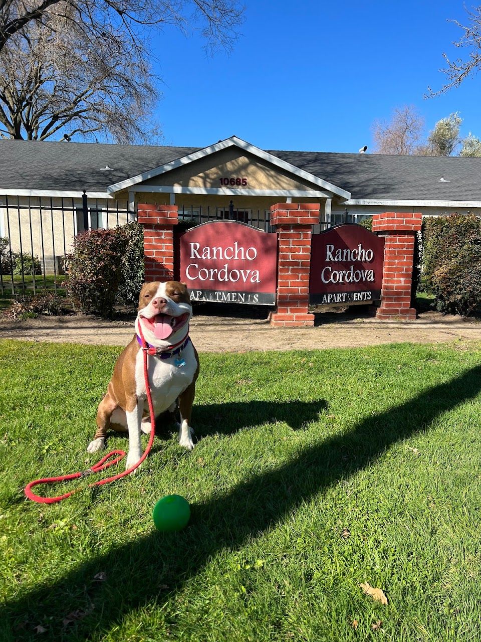 Rancho Cordova Apts