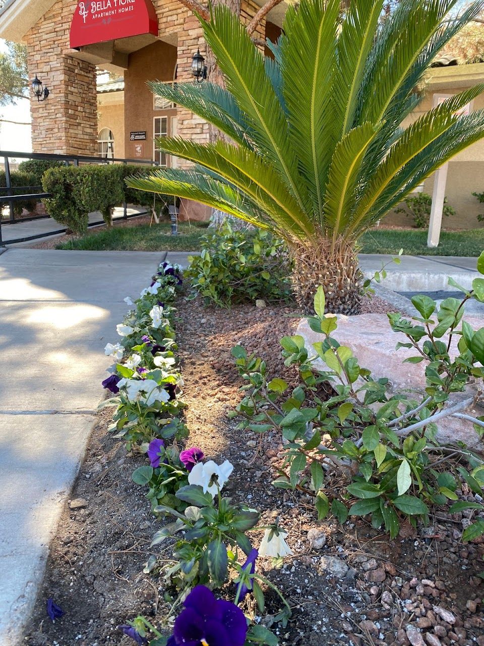 Rancho Mesa Apts