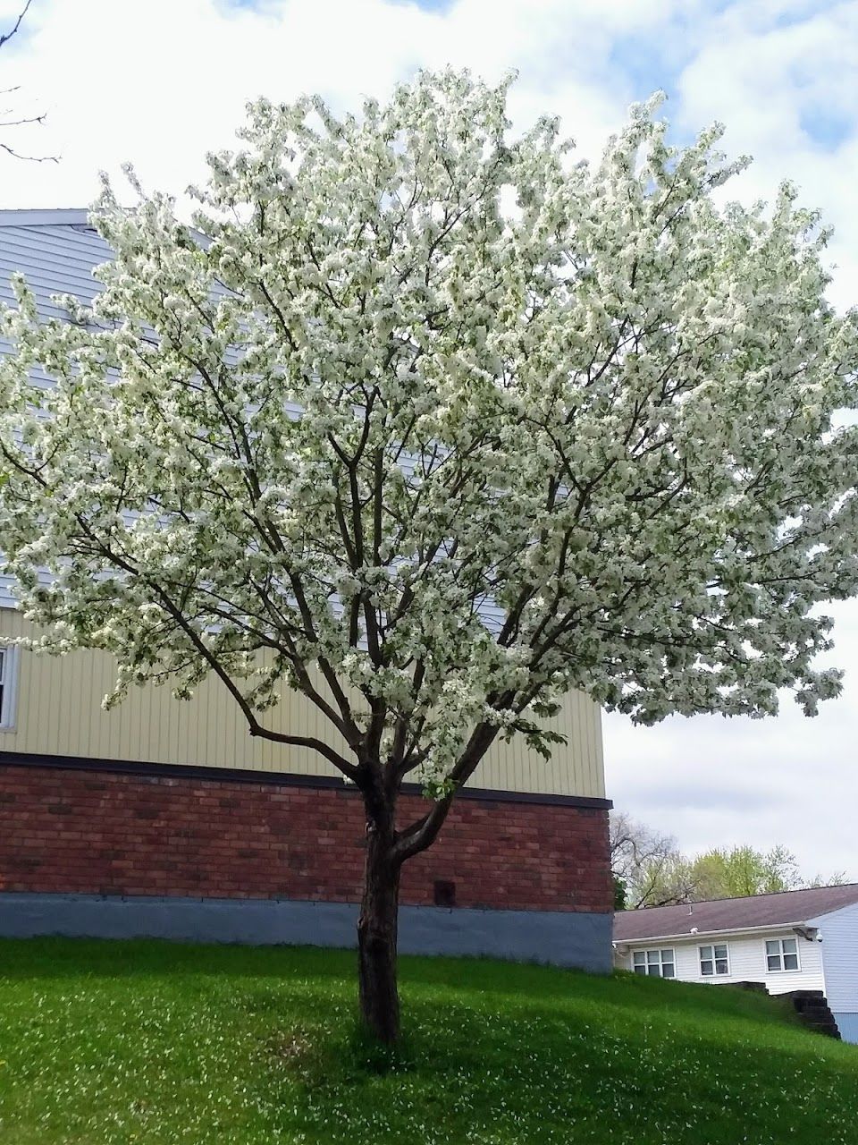 Rensselaer Housing Authority