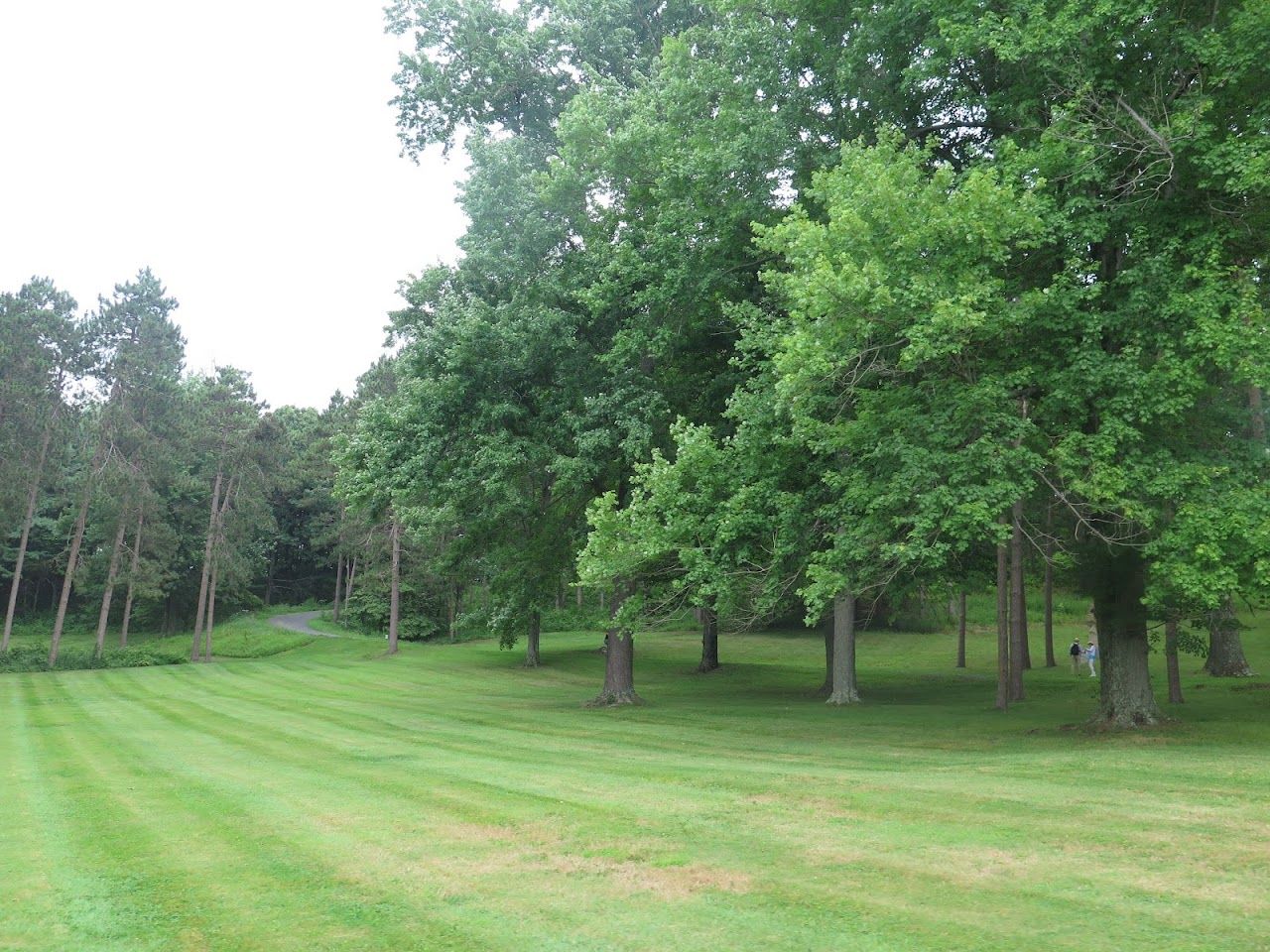 Rheingold Heights Apts