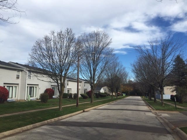 Ridgecrest Village (Flint)