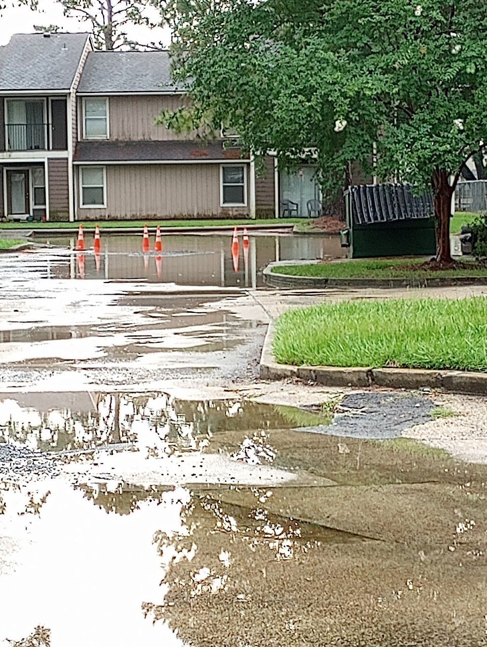 Ridgeview Apartments