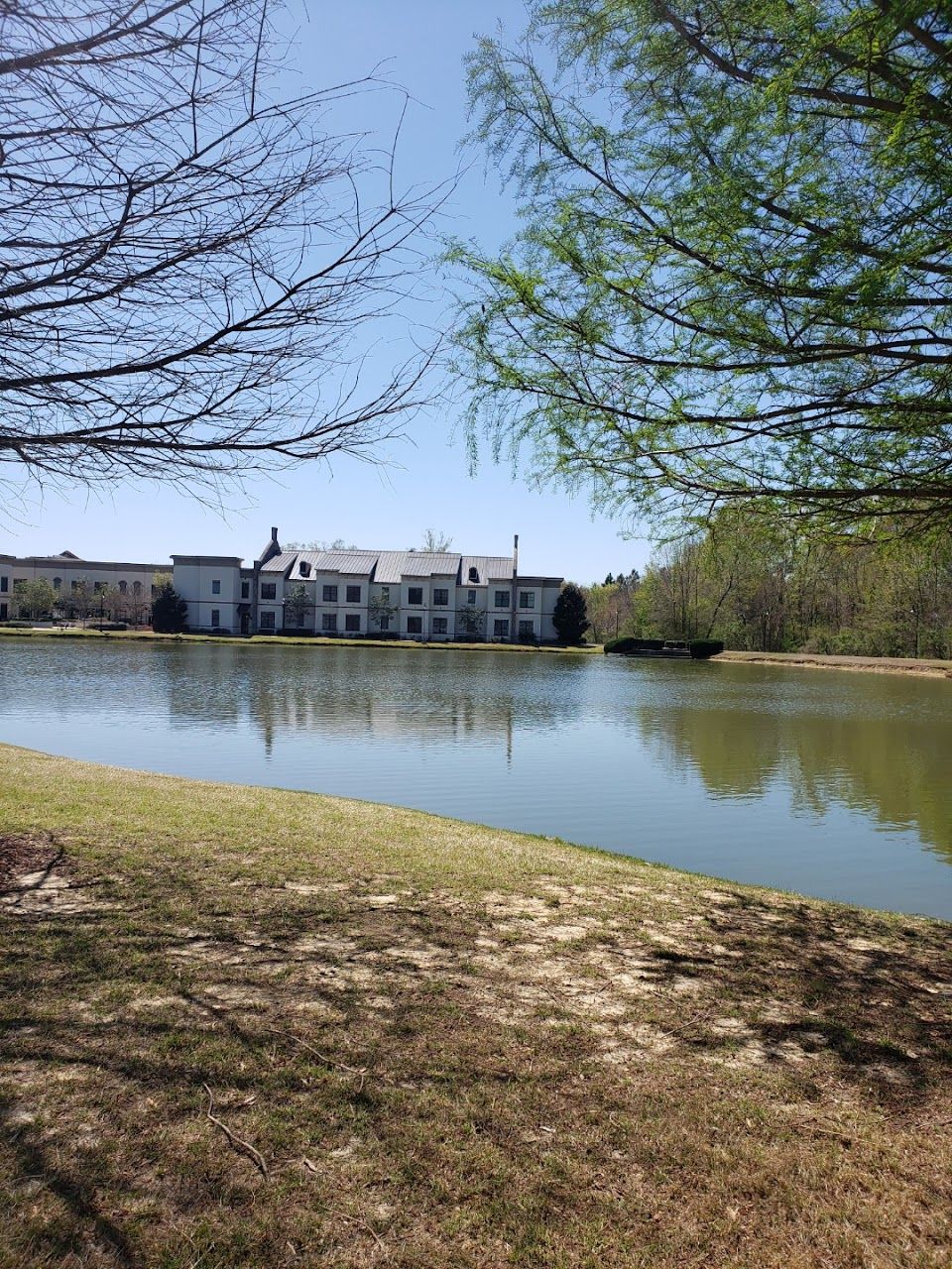 Ridgeway Apts