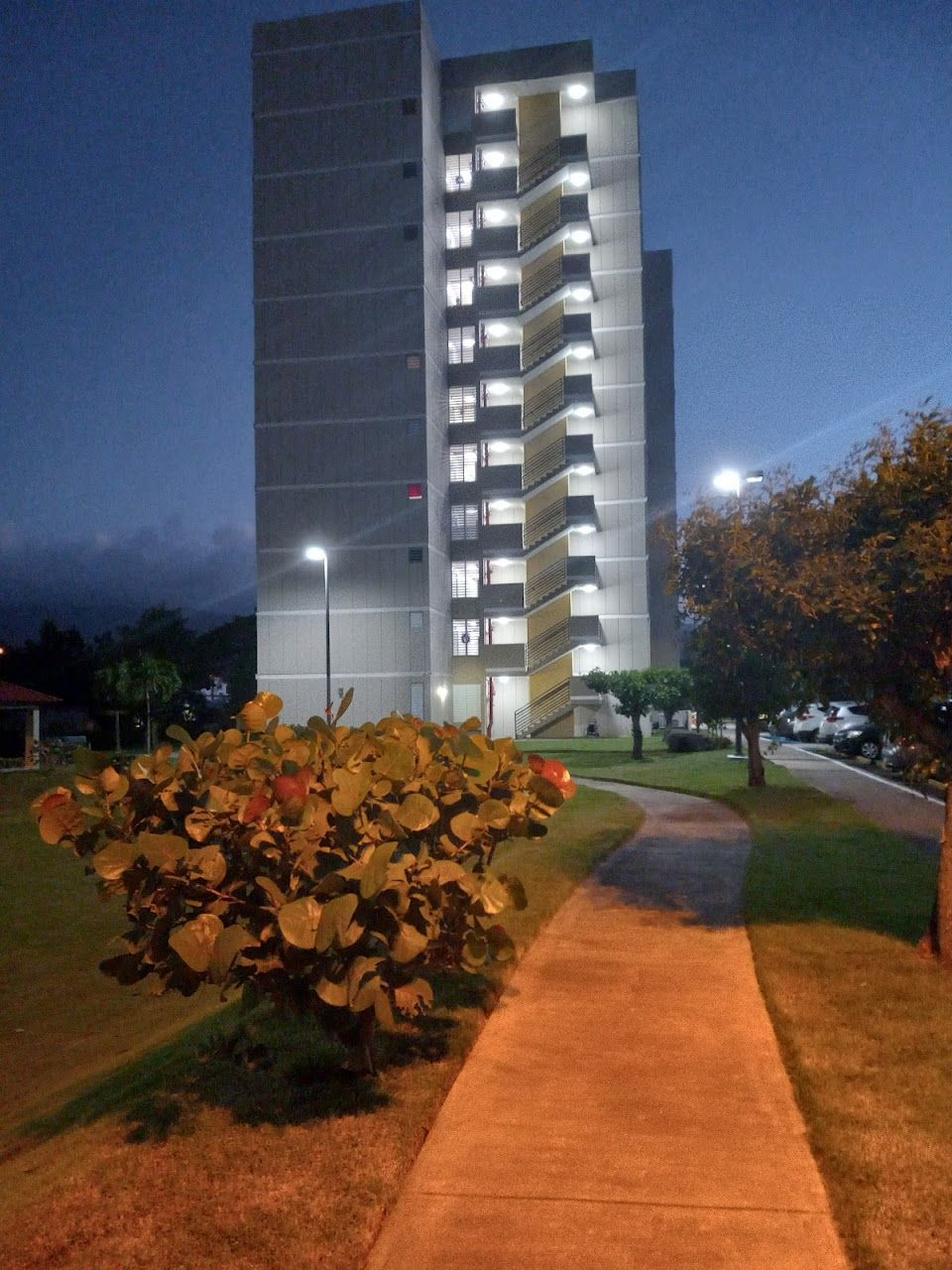 Rio Dorado Elderly Apts
