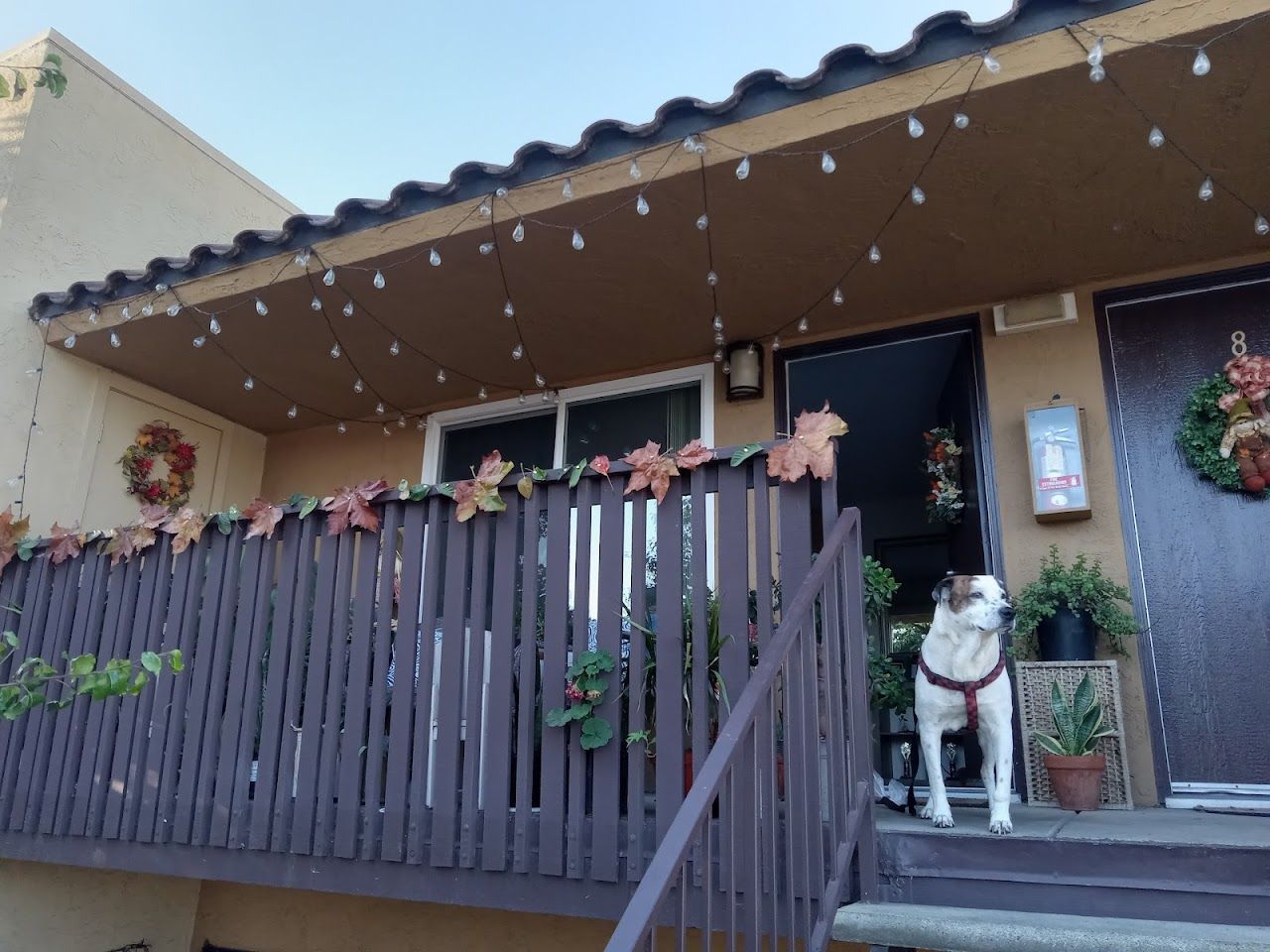 Rio Vista Apartments