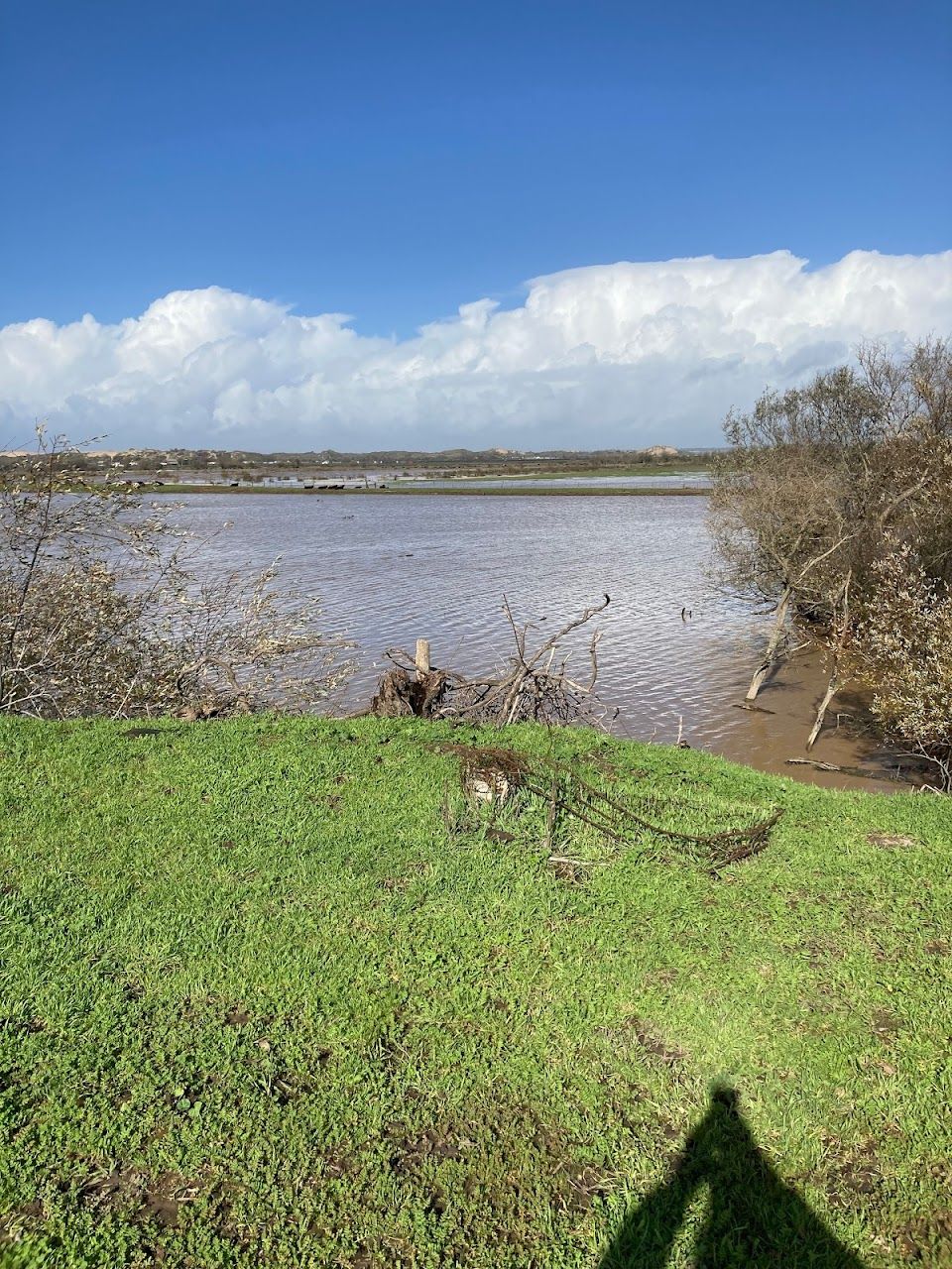 River View