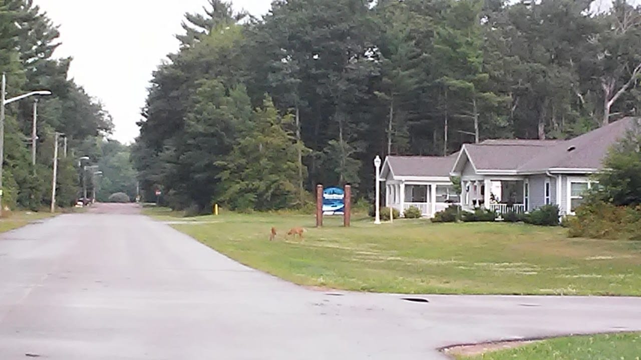 River Wood Apartments
