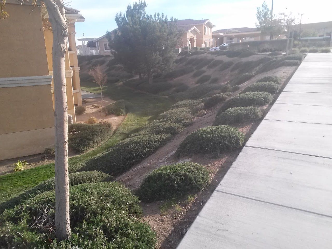 Riverview Apts