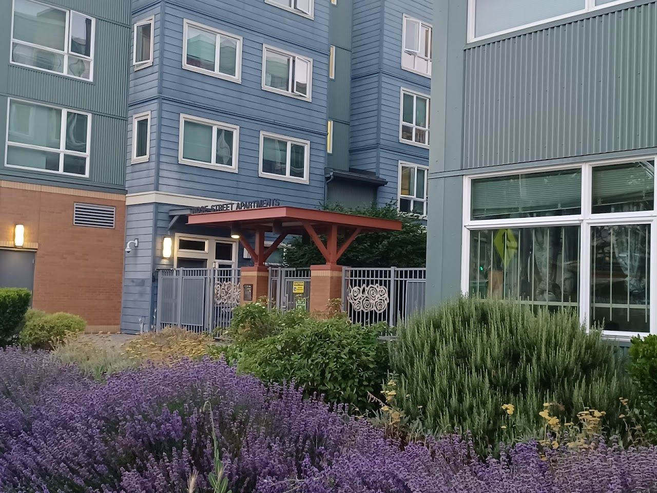 Rose Street Apartments