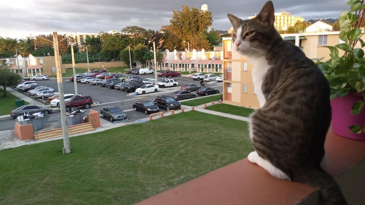 Sabalos Gardens Public Housing 1