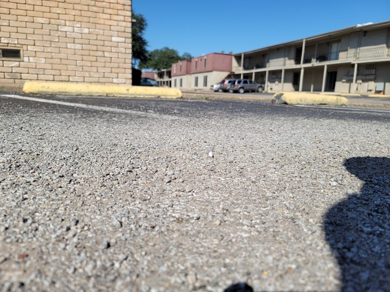 Shadow Hill Apts