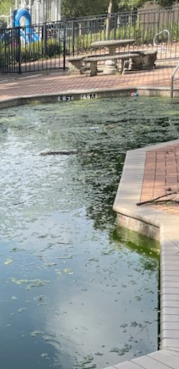 Silurian Pond