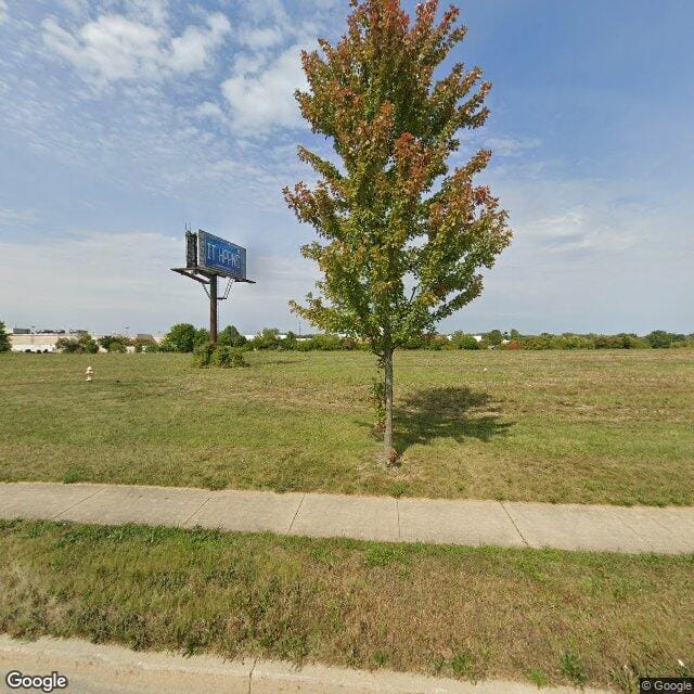 Snowy Owl Commons