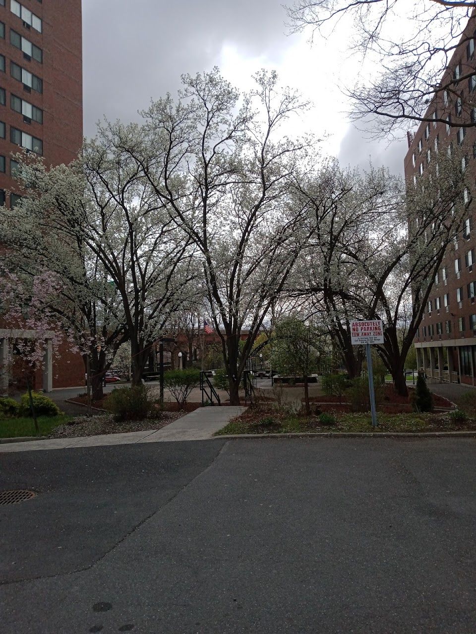 South Mall Towers