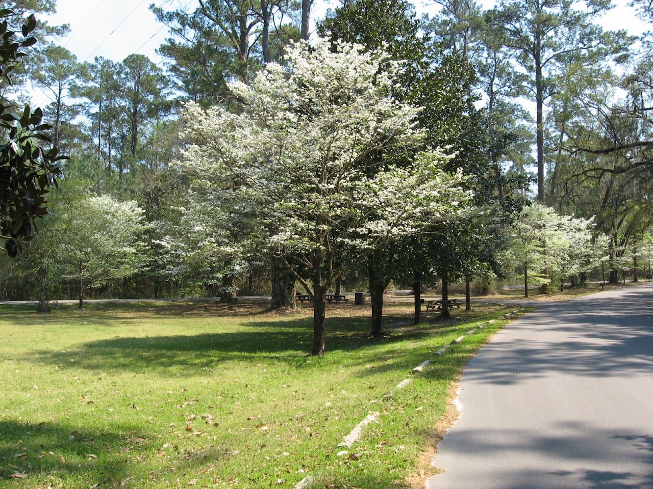 Southern Villas