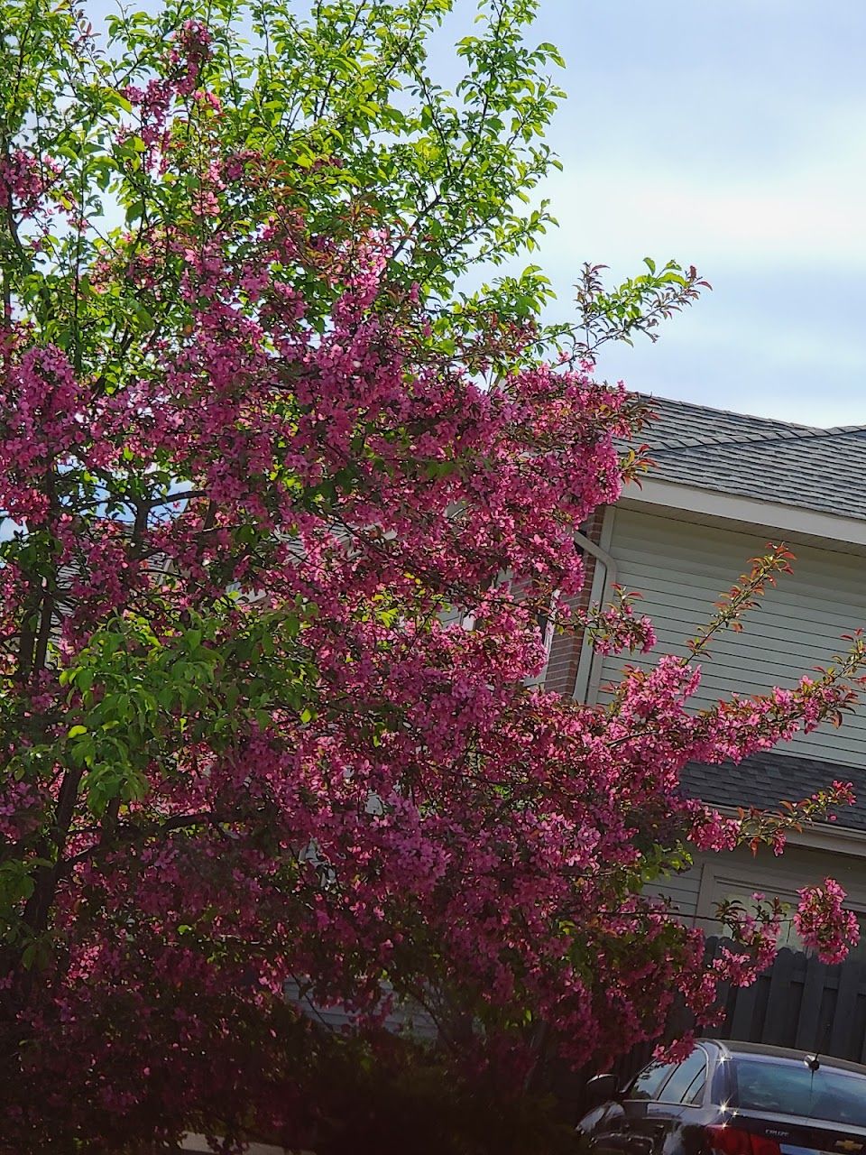 Southside Apts I