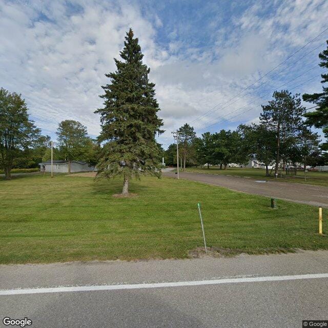 Springtree Apts