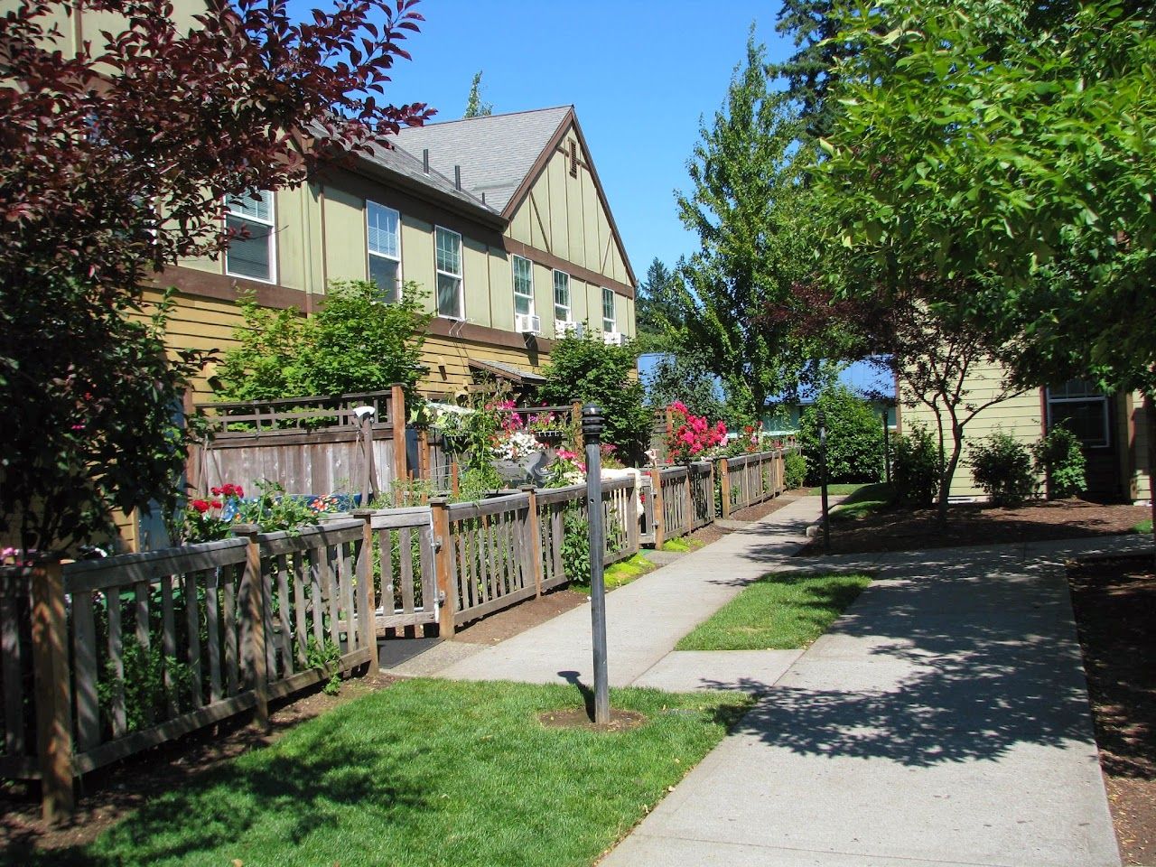 Springwater Commons