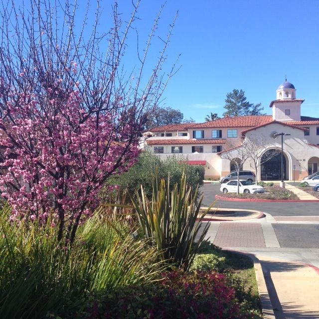 St Vincent'S Garden