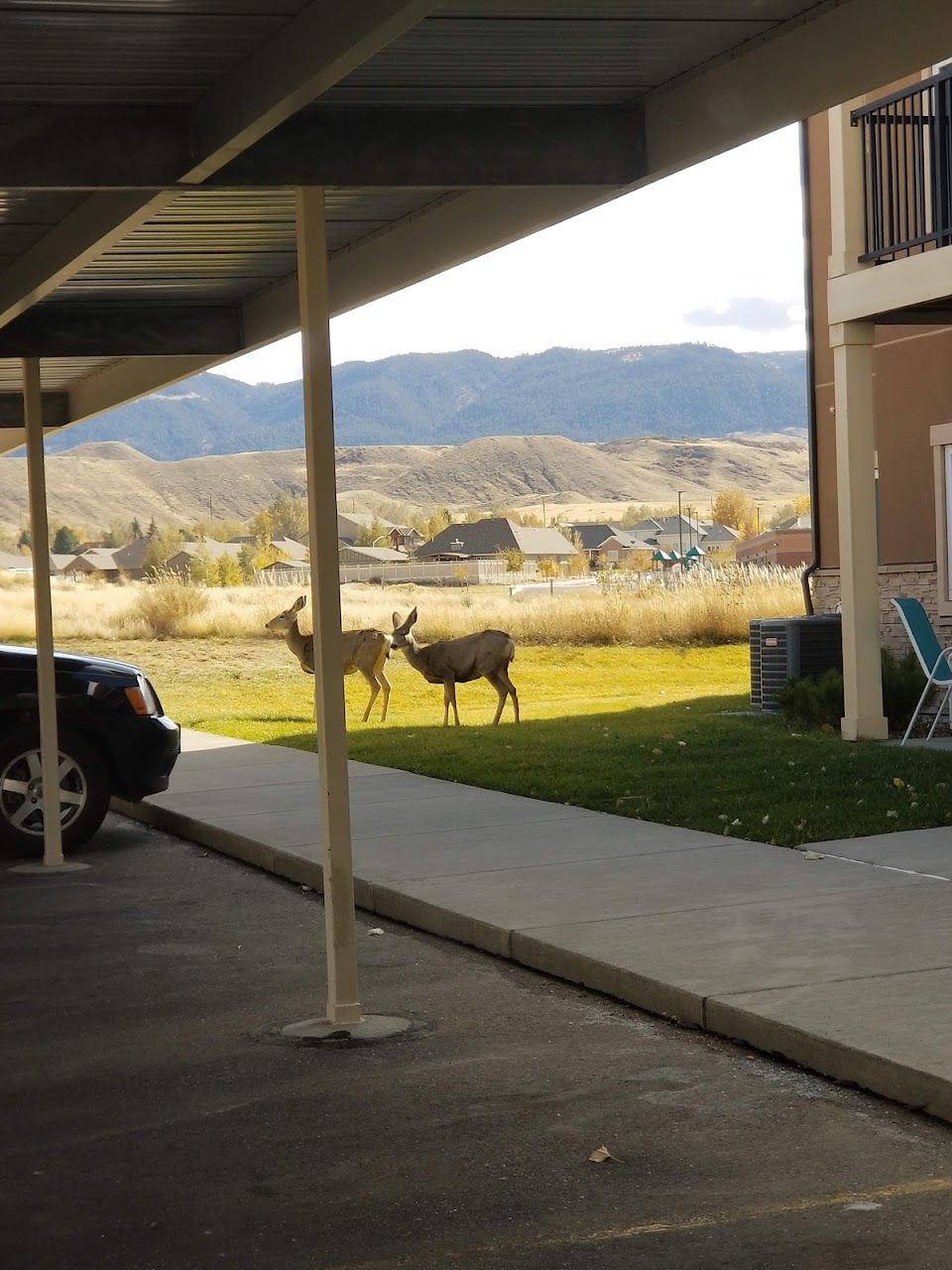 Stoney Hill Apts