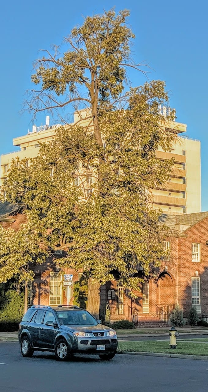Sun Tower
