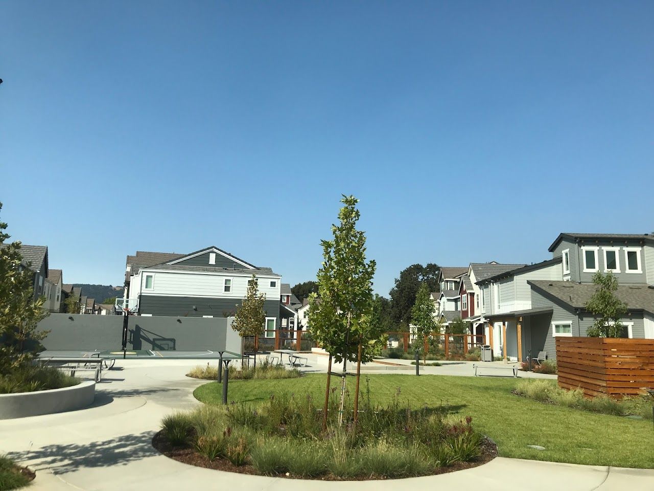 Sunflower Hill At Irby Ranch