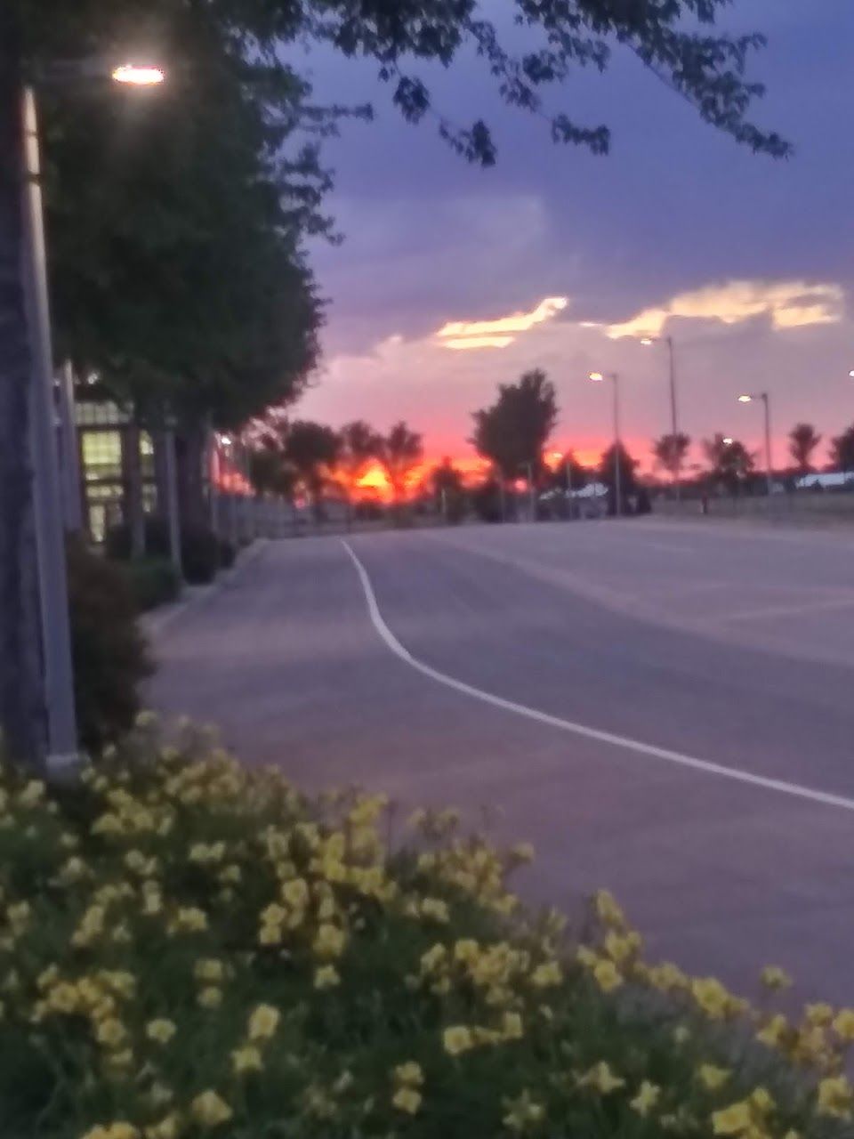 Sunwood Village